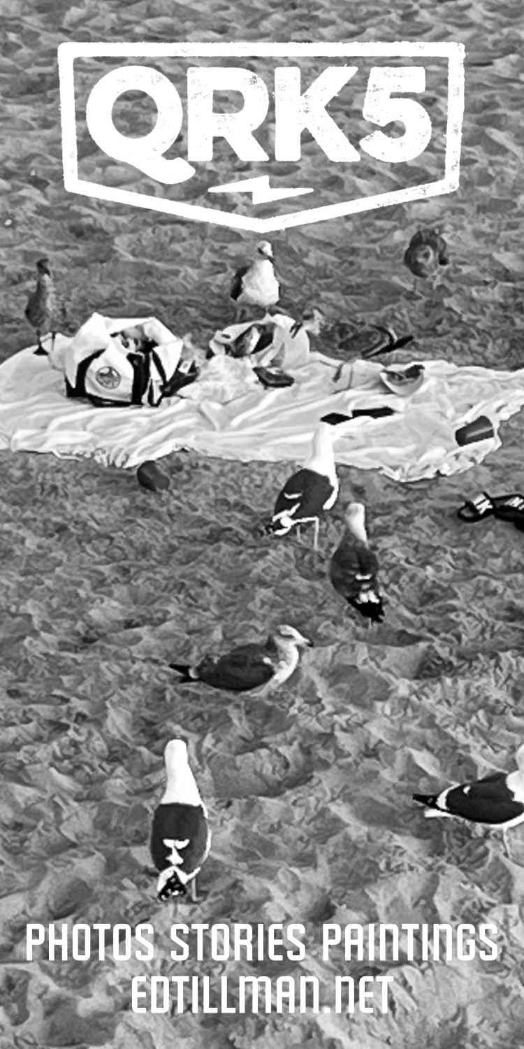 Ad, Seagulls