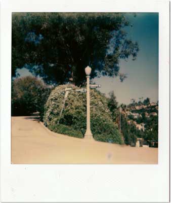 Lamp Post from Instant